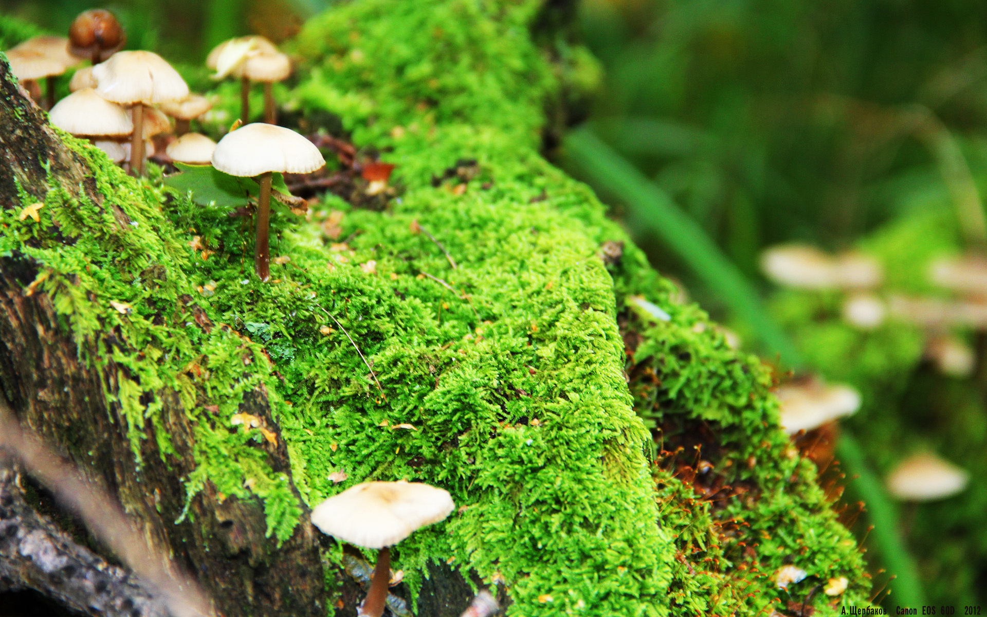 九游jiuyou-“健康监测与运动优化：科技创新开启运动医学新纪元”，运动健康测评