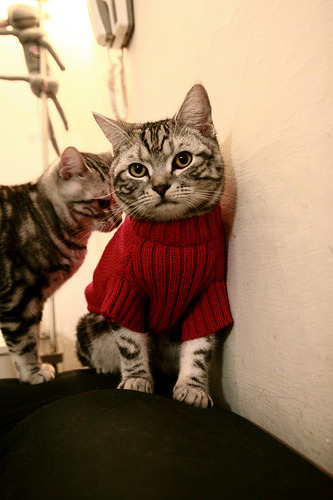 国内外著名足球专家齐聚，研讨中国足球未来，中国足球潜力