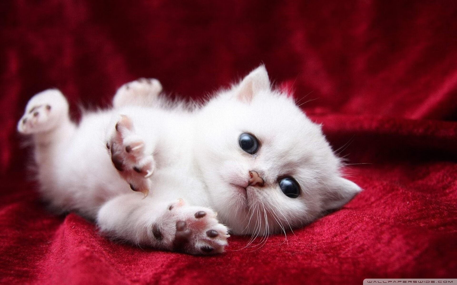 战术大爆炸:一场比赛中不同战术的碰撞,战术爆破模式是什么