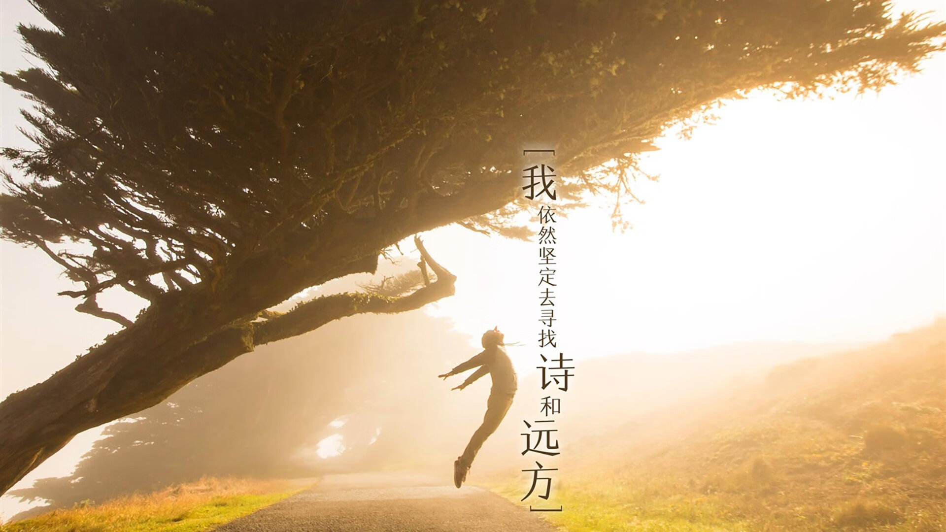 九游电脑版-战术天才的“秘密武器”：团队里的奇兵奇谋，战术天才笔趣阁