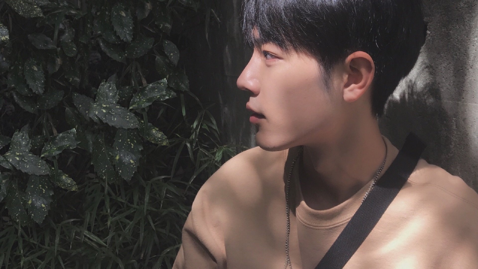 未来联盟：虚拟赛事、AI裁判引领新纪元，西安未来联盟信息技术服务有限公司