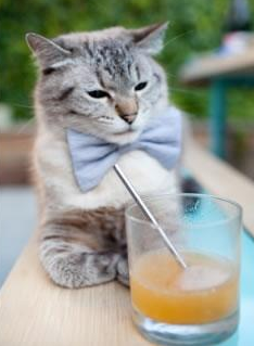 未来联盟:跨界合作带来的篮球“新面貌”,未来联盟第一中锋