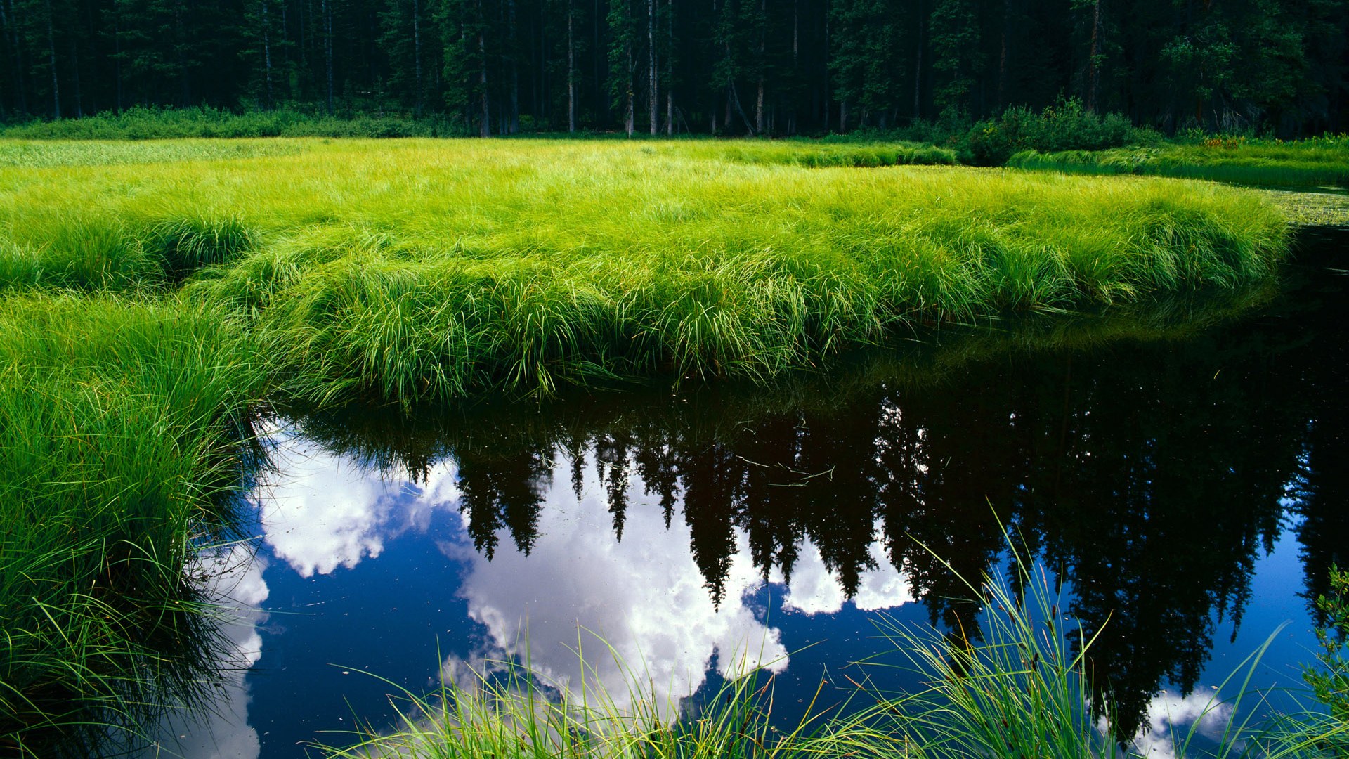 九游娱乐-女足世界杯门将表现稳定，关键扑救频现，2021女足门将