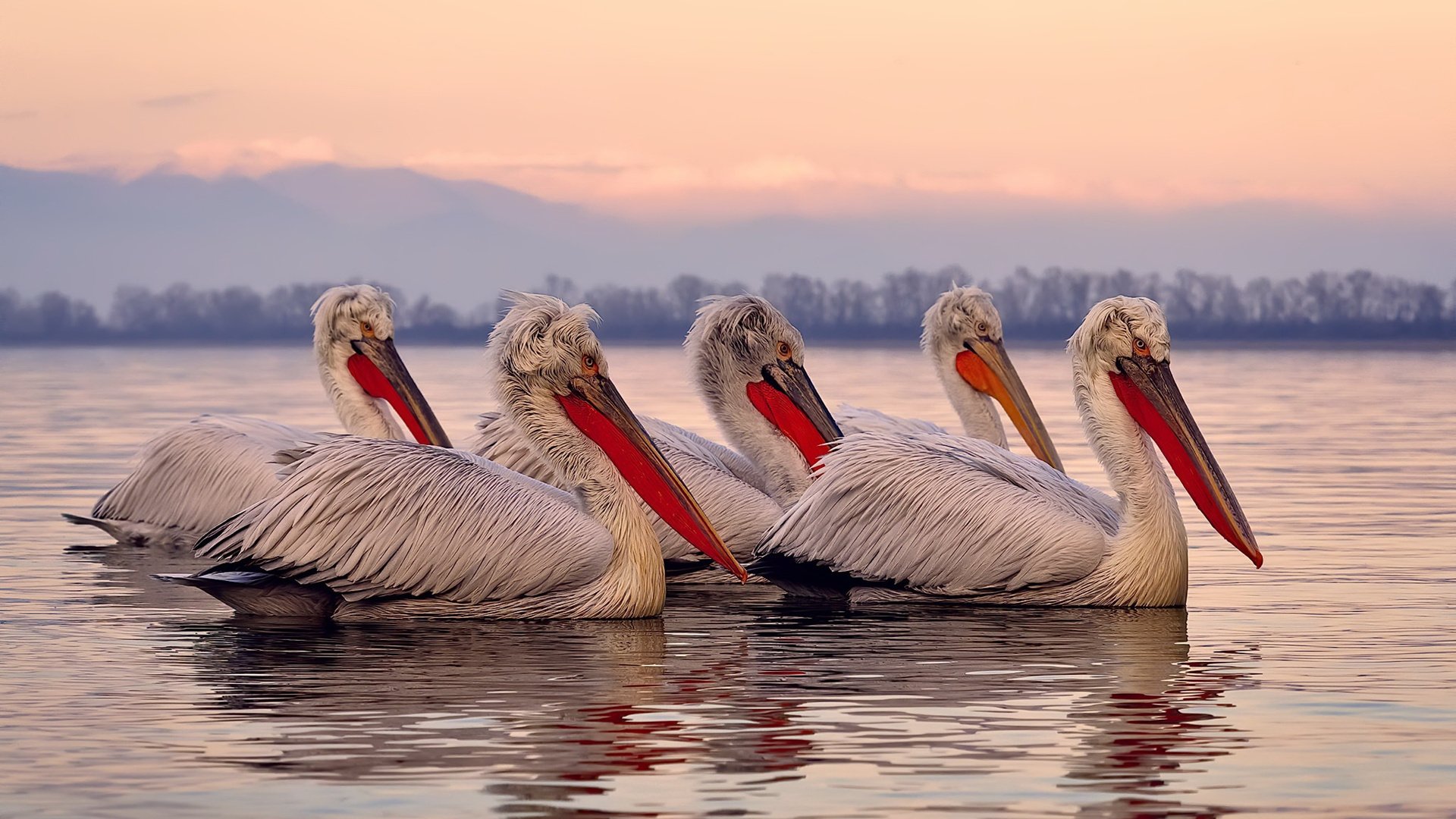 九游sports-紧张对抗！葡萄牙女足挑战克罗地亚，硝烟四起，友谊联赛葡萄牙vs克罗地亚