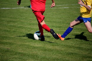 九游电脑版-中国足球年度训练项目与技战术实战匹配，中国足球队战术