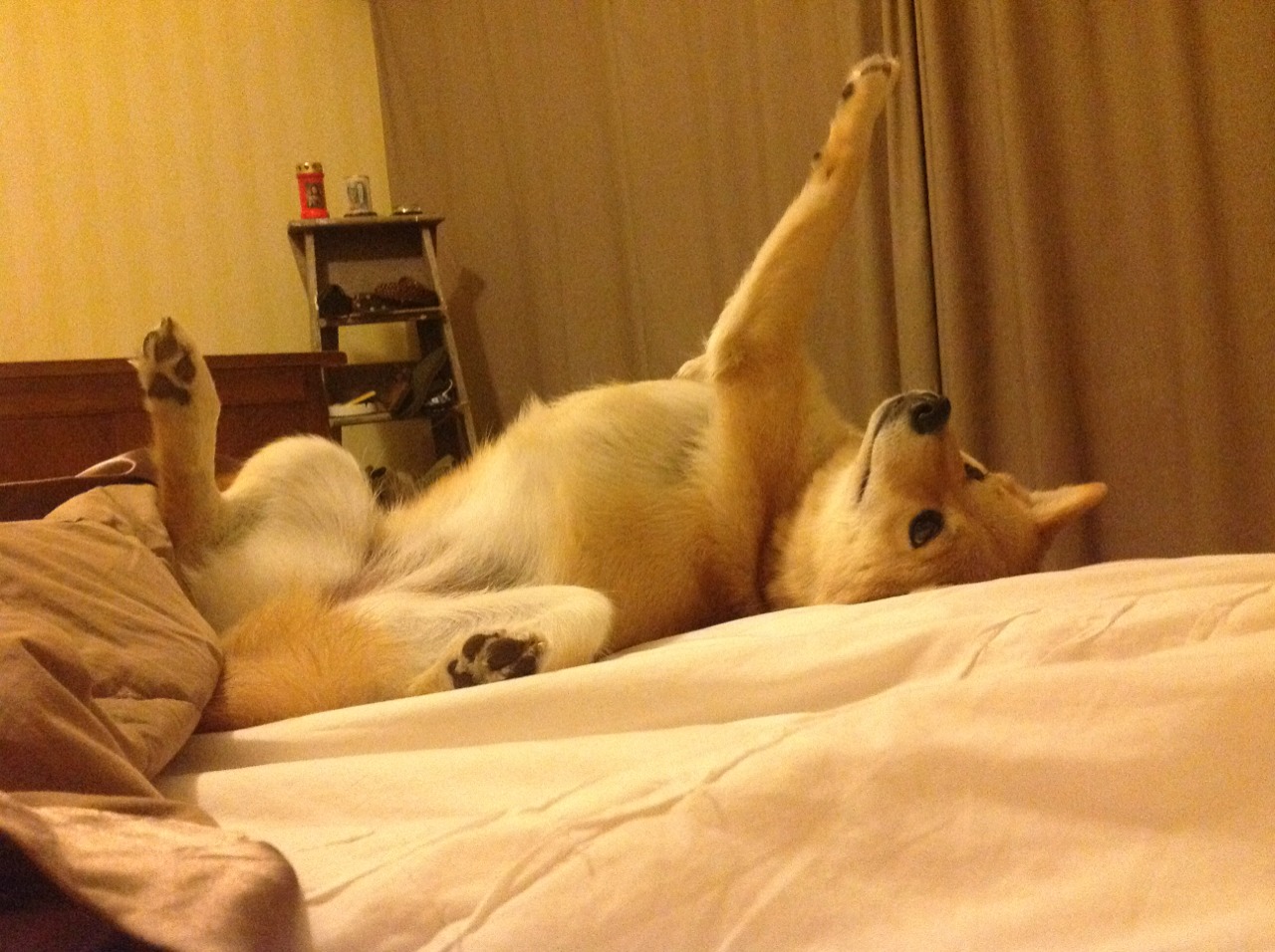 中国三人篮球男队打造稳定持球核心，中国三人篮球男队战绩