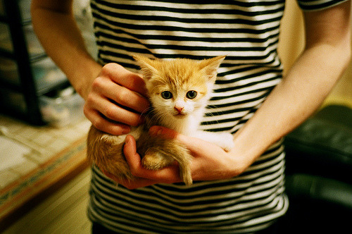 九游娱乐官网 (JIUYOU)-博卡战术布置严密，本菲卡难觅良机，博卡啥意思