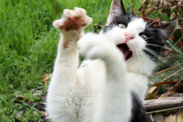 九游娱乐(jiuyou)官网-防守中的轮转犹豫是否决定对手出手机会，防守轮换