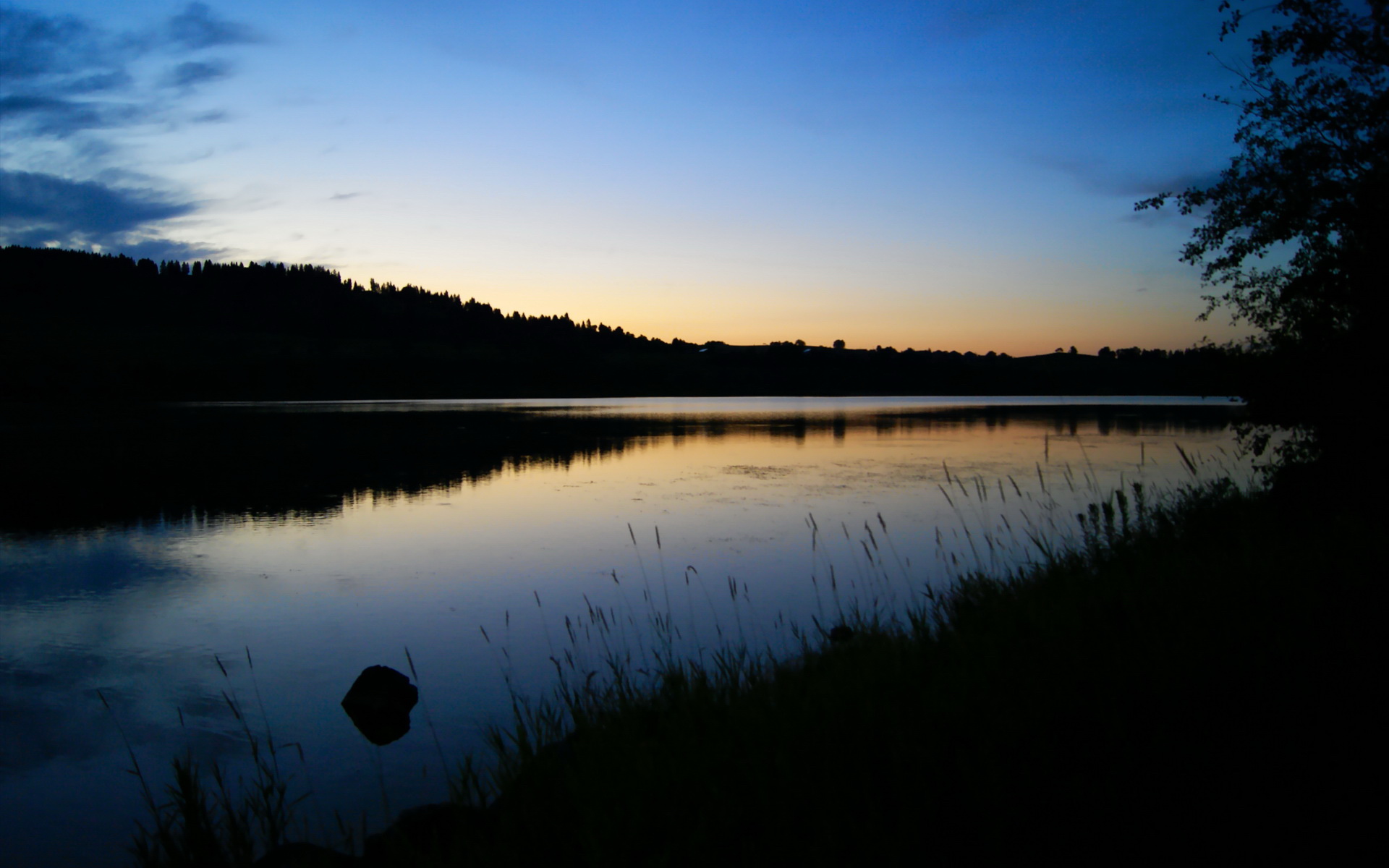 九游官网pc-阿莱克西决赛状态火热不容小觑，阿莱克西亚高清图片